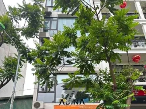 Cho thuê văn phòng phố Trần Quang Diệu