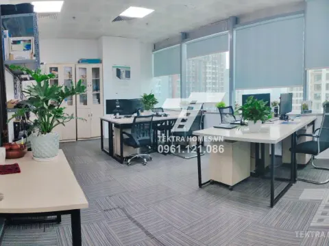Cho thuê văn phòng trọn gói tại tòa DIAMOND FLOWER TOWER 48 Lê Văn Lương