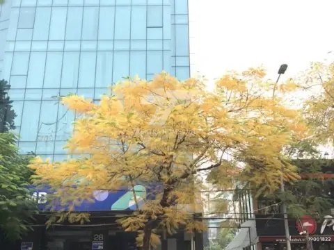 Cho thuê văn phòng HT building Xuân La