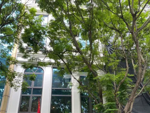 Văn phòng Cầu Giấy | 92 Dịch Vọng Hậu