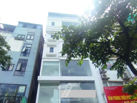 Cho thuê nguyên căn mặt phố Đào Tấn
