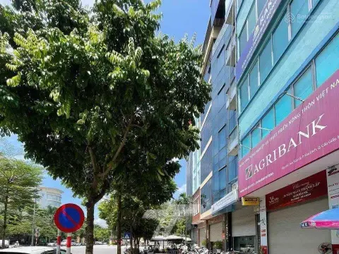 Cho thuê văn phòng lô góc 3 mặt thoáng đường Trần Vỹ