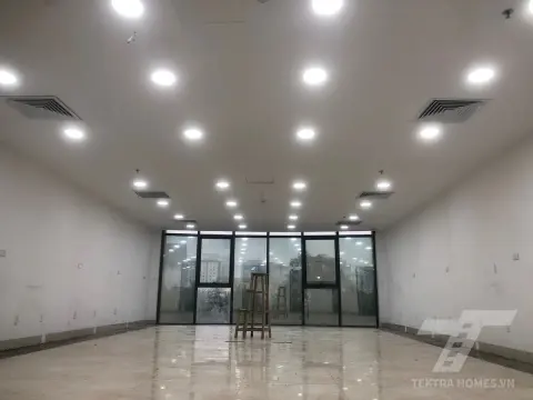 Tòa nhà 233 Lê Đức Thọ