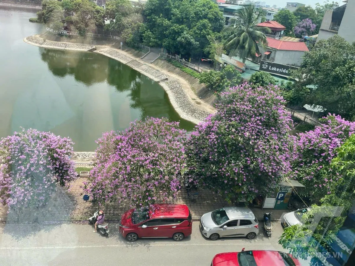 view hồ tại Tòa nhà 19 Hạ Đình